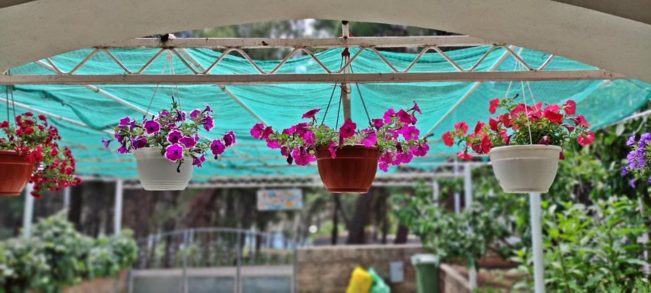 1000 Flowers Appartement